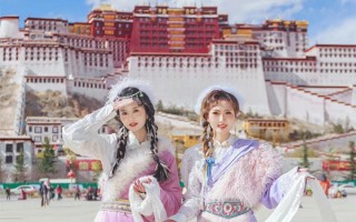现在出去旅游是跟团游好还是自由行好？现在去西藏旅游是跟团还是自由行呢？