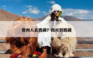 贵州人去西藏？四川到西藏
