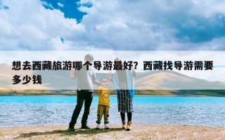 想去西藏旅游哪个导游最好？西藏找导游需要多少钱