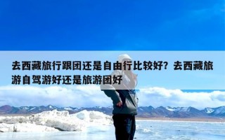 去西藏旅行跟团还是自由行比较好？去西藏旅游自驾游好还是旅游团好
