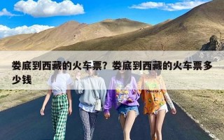 娄底到西藏的火车票？娄底到西藏的火车票多少钱