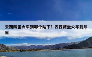 去西藏坐火车到哪个站下？去西藏坐火车到那里