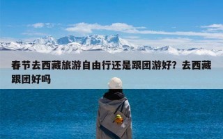 春节去西藏旅游自由行还是跟团游好？去西藏跟团好吗