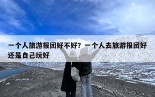 一个人旅游报团好不好？一个人去旅游报团好还是自己玩好