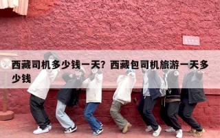 西藏司机多少钱一天？西藏包司机旅游一天多少钱