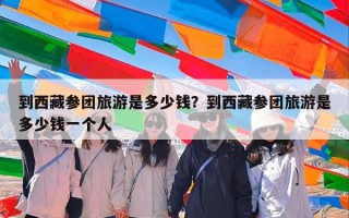 到西藏参团旅游是多少钱？到西藏参团旅游是多少钱一个人