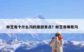 林芝有个什么沟的旅游景点？林芝有哪些沟