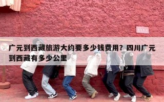 广元到西藏旅游大约要多少钱费用？四川广元到西藏有多少公里