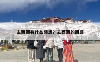 去西藏有什么感想？去西藏的后感