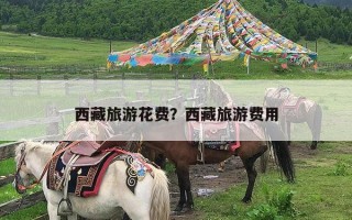 西藏旅游花费？西藏旅游费用