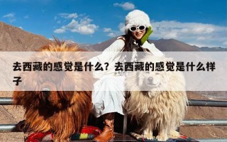 去西藏的感觉是什么？去西藏的感觉是什么样子