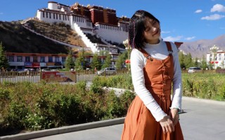从广东湛江到西藏旅游大概费用多少？从湛江去西藏旅游要准备多少钱呢？