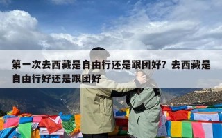 第一次去西藏是自由行还是跟团好？去西藏是自由行好还是跟团好