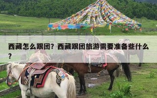 西藏怎么跟团？西藏跟团旅游需要准备些什么?