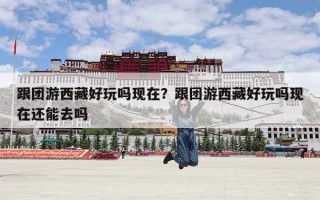 跟团游西藏好玩吗现在？跟团游西藏好玩吗现在还能去吗