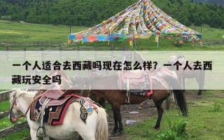 一个人适合去西藏吗现在怎么样？一个人去西藏玩安全吗