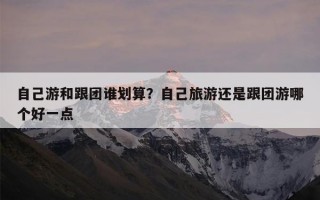 自己游和跟团谁划算？自己旅游还是跟团游哪个好一点