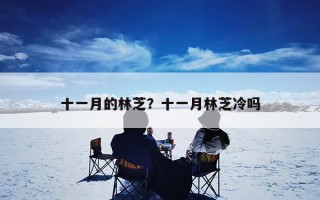 十一月的林芝？十一月林芝冷吗