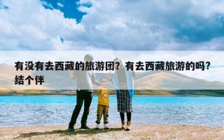 有没有去西藏的旅游团？有去西藏旅游的吗?结个伴