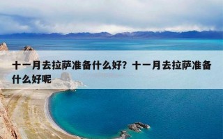 十一月去拉萨准备什么好？十一月去拉萨准备什么好呢