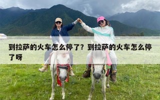 到拉萨的火车怎么停了？到拉萨的火车怎么停了呀