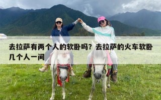 去拉萨有两个人的软卧吗？去拉萨的火车软卧几个人一间