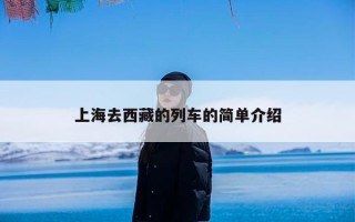 上海去西藏的列车的简单介绍