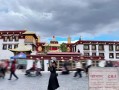 如果现在去西藏跟团还是自己去？现在去西藏跟团旅游合适吗？