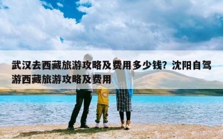 武汉去西藏旅游攻略及费用多少钱？沈阳自驾游西藏旅游攻略及费用