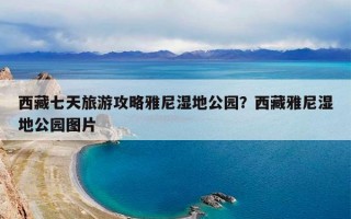 西藏七天旅游攻略雅尼湿地公园？西藏雅尼湿地公园图片