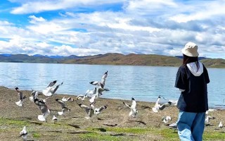 跟团去西藏旅游需要多少钱？去西藏跟团玩每人要准备多少钱？