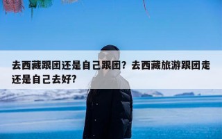 去西藏跟团还是自己跟团？去西藏旅游跟团走还是自己去好?