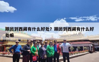 跟团到西藏有什么好处？跟团到西藏有什么好处嘛
