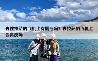 去往拉萨的飞机上有厕所吗？去拉萨的飞机上会高反吗
