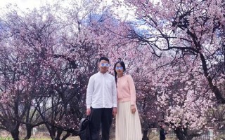 三月林芝桃花攻略有推荐吗？三月去林芝看桃花有哪些攻略要做？