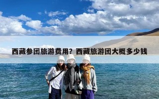 西藏参团旅游费用？西藏旅游团大概多少钱