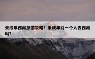 未成年西藏旅游攻略？未成年能一个人去西藏吗?