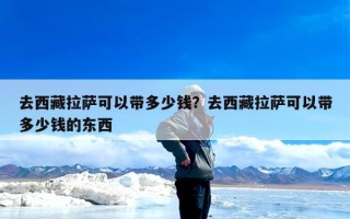 去西藏拉萨可以带多少钱？去西藏拉萨可以带多少钱的东西
