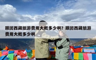 跟团西藏旅游费用大概多少啊？跟团西藏旅游费用大概多少啊