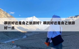 跟团好还是自己旅游好？跟团好还是自己旅游好一点