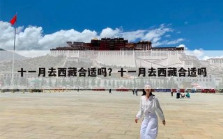 十一月去西藏合适吗？十一月去西藏合适吗