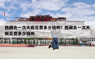 西藏去一次大概花费多少钱啊？西藏去一次大概花费多少钱啊
