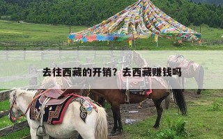 去往西藏的开销？去西藏赚钱吗