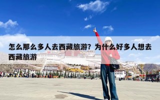 怎么那么多人去西藏旅游？为什么好多人想去西藏旅游