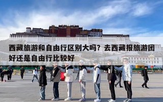 西藏旅游和自由行区别大吗？去西藏报旅游团好还是自由行比较好