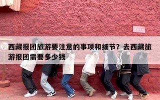 西藏报团旅游要注意的事项和细节？去西藏旅游报团需要多少钱