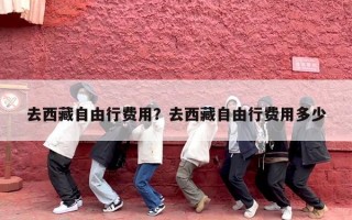 去西藏自由行费用？去西藏自由行费用多少