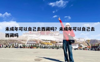 未成年可以自己去西藏吗？未成年可以自己去西藏吗