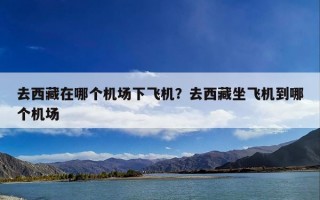 去西藏在哪个机场下飞机？去西藏坐飞机到哪个机场