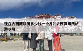 现在去西藏跟团多少钱一个月？去西藏跟团旅游攻略